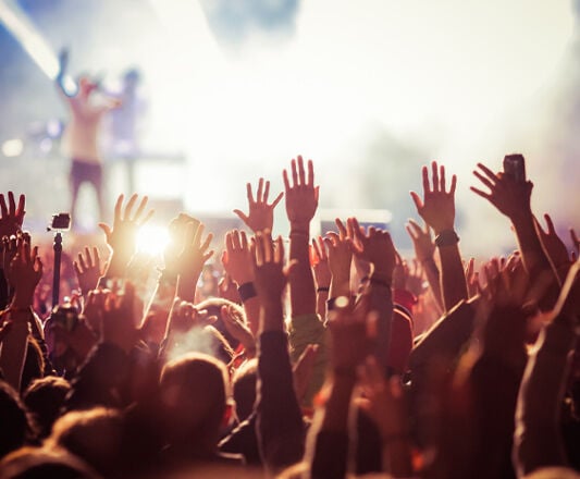 Werkloos Aannemelijk Gezond eten Gehoorschade op festivals | Hans Anders