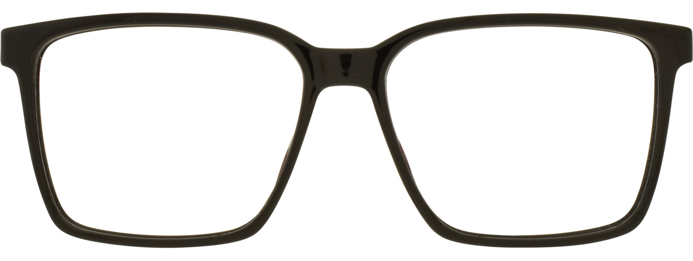 Hugo Boss  21
