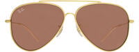 Ray-Ban 0101 11