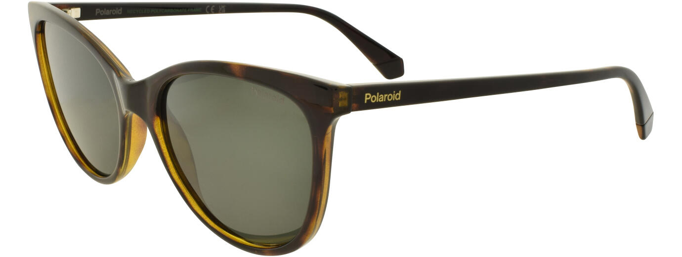 Polariod 4179 01