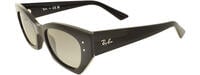 Ray-Ban 4430 31