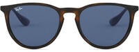 Ray-Ban Erika 4171 51