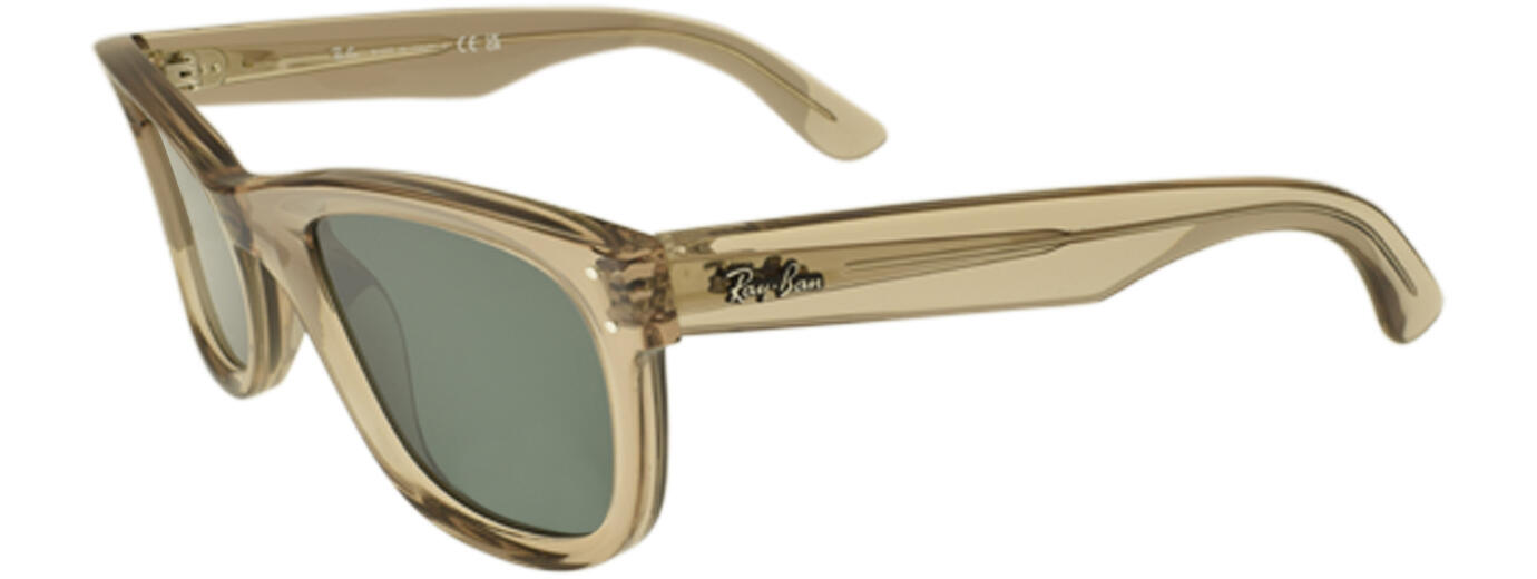 Ray-Ban 0RBR0502 01