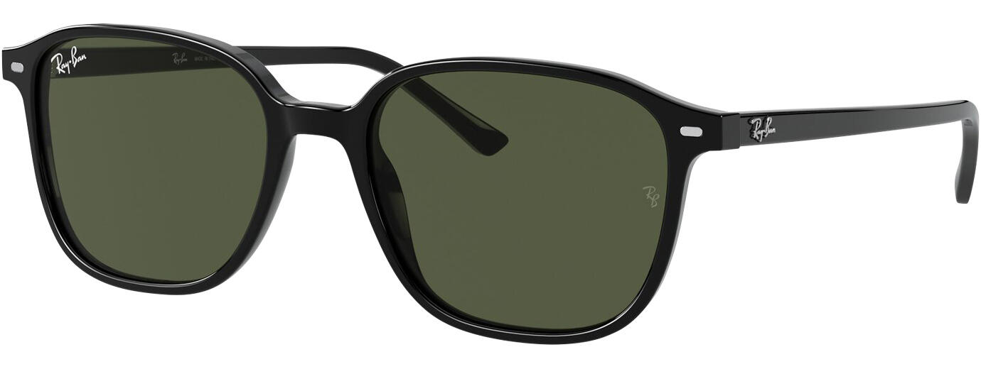 Ray-Ban Leonard 2193 01