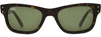 Ray-Ban 2283 11