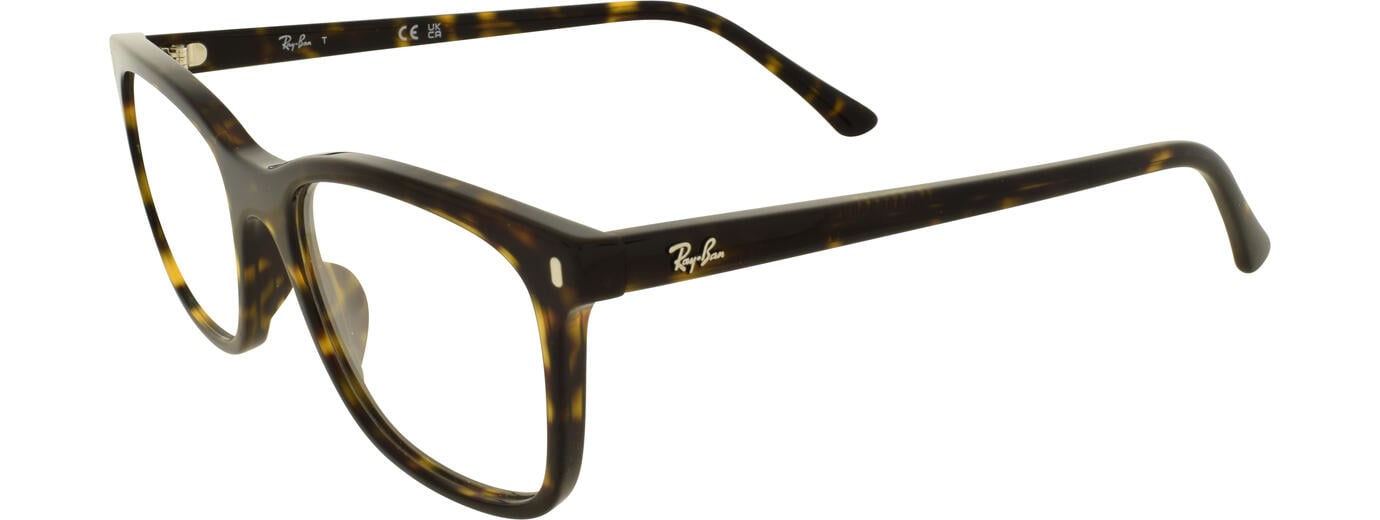 Ray-Ban 01