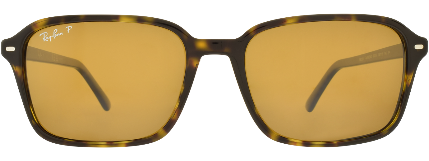 RAY-BAN 0RB2231 51