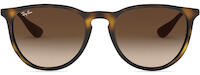 Ray-Ban Erika 4171 11