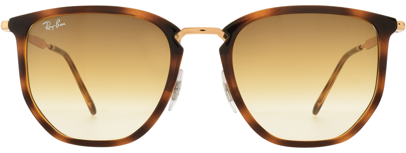 Ray-Ban 4451 21