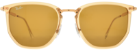 Ray-Ban 4451 21