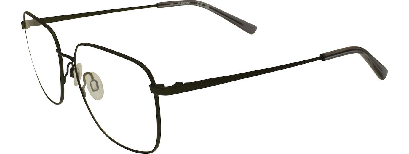Flexon H6070 01