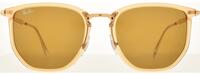 Ray-Ban 4451 21