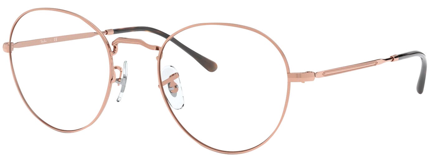 Ray sales ban 3582v