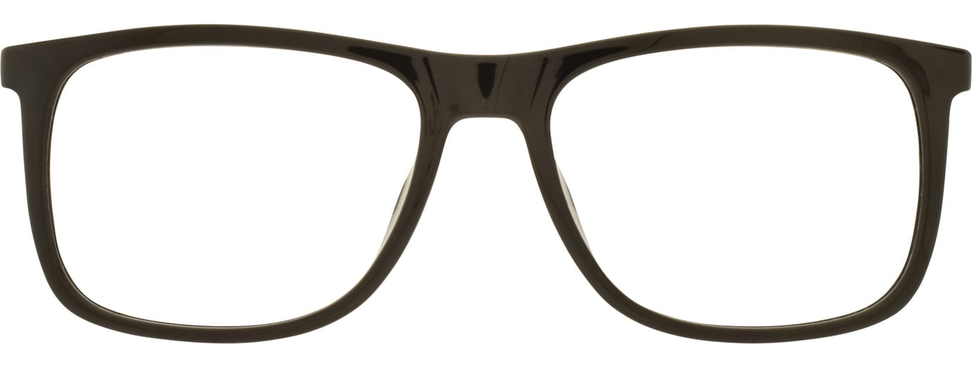 Hugo Boss 1332 21