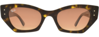 Ray-Ban 4430 21