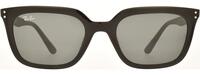 Ray-Ban 4439 21