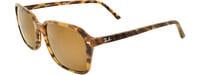RAY-BAN 0RB2231 01