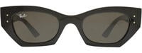 Ray-Ban 4430 11