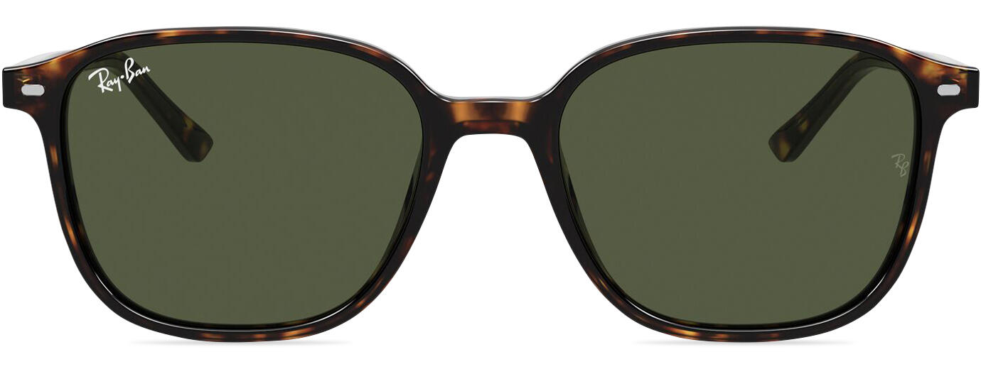 Ray-Ban Leonard 2193 11