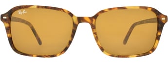 RAY-BAN 0RB2231