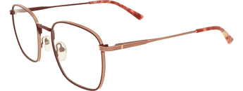 Hans Anders B004900