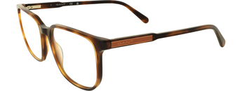 Gant