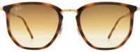 Ray-Ban 4451 21