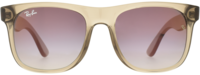 Ray-Ban 0RJ9069S 21