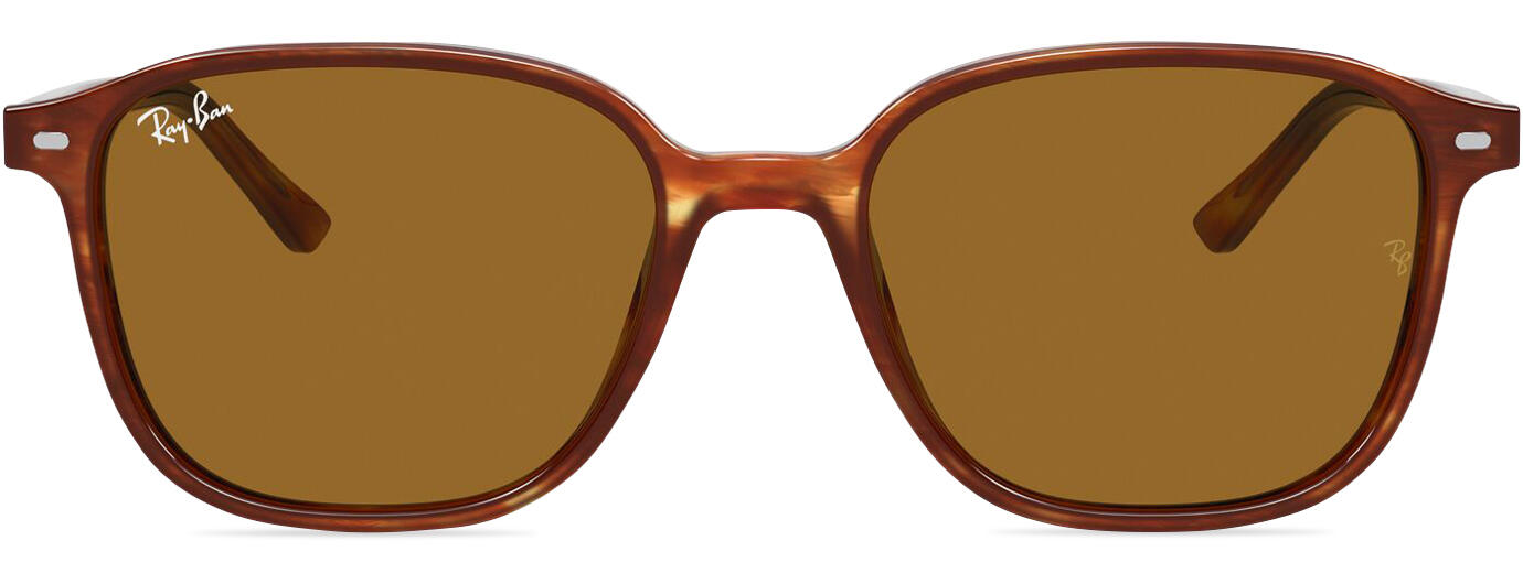 Ray-Ban Leonard 2193 31