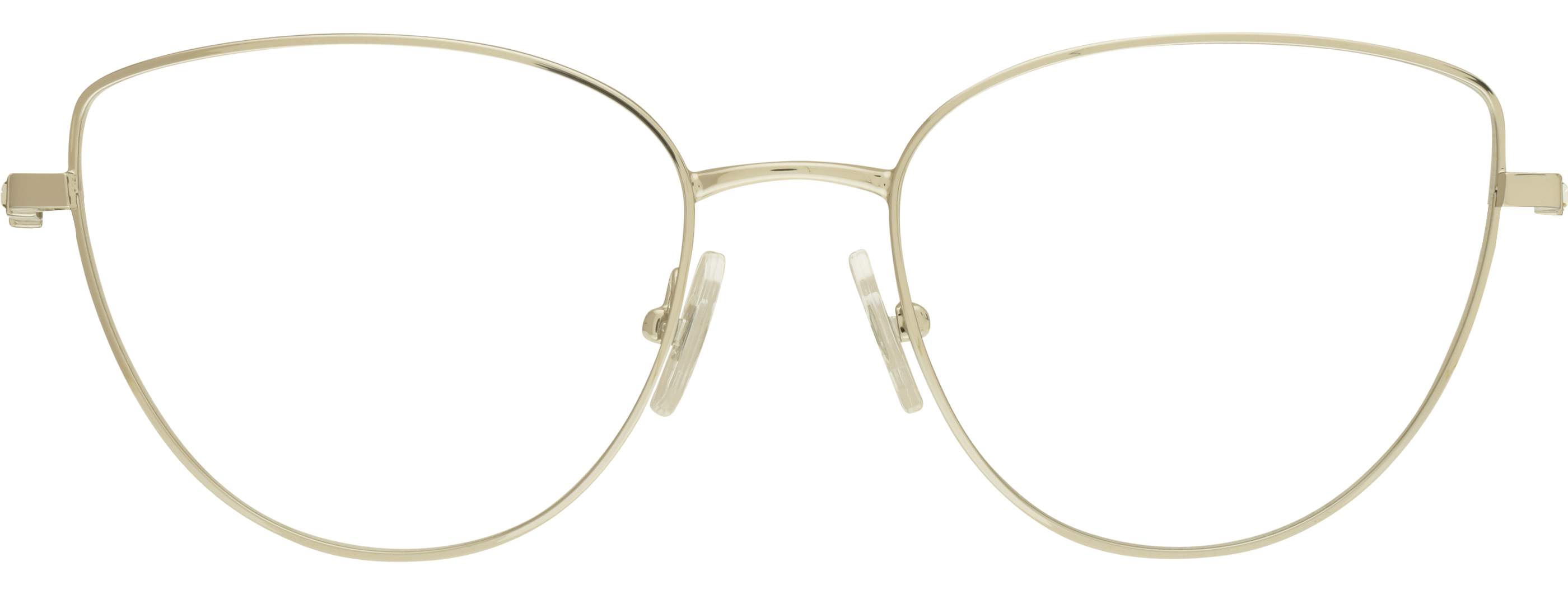 Swarovski 1007 21