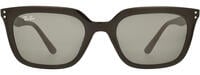 Ray-Ban 4439 11