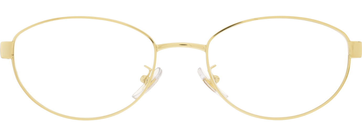 Ray-Ban 0RX3774VD 21