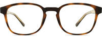 LACOSTE L2964 11