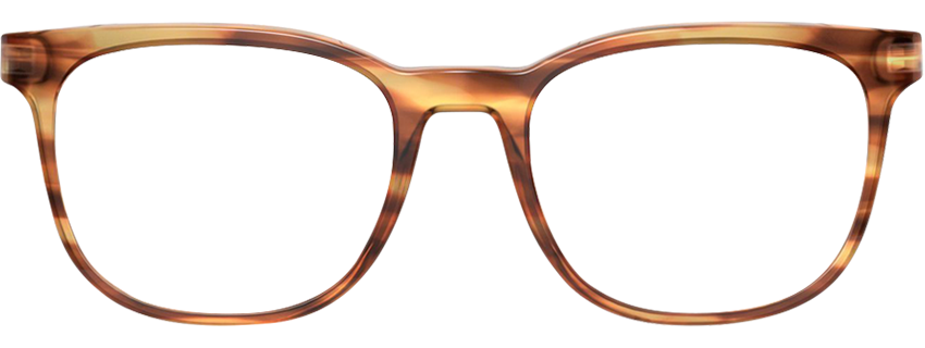 Ray sales ban 5369