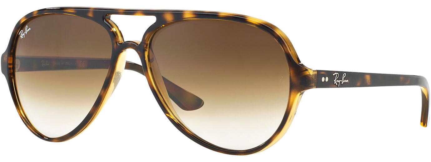 Broers en zussen temperen eerste Ray-Ban 4125 - bruine heren zonnebril | Hans Anders