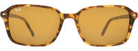 RAY-BAN 0RB2231 11