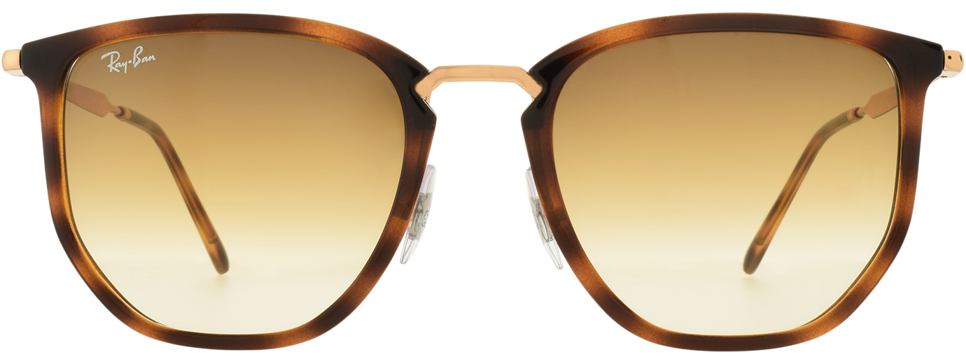 Ray-Ban 4451 21