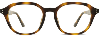 Ray-Ban 0RX7259D