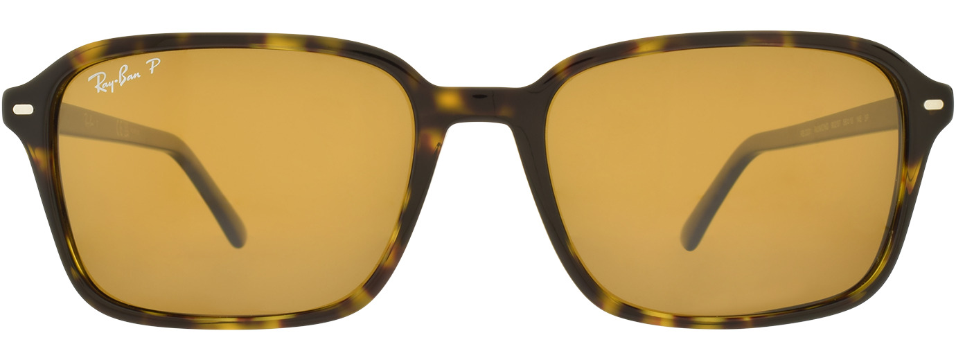 RAY-BAN 0RB2231 51