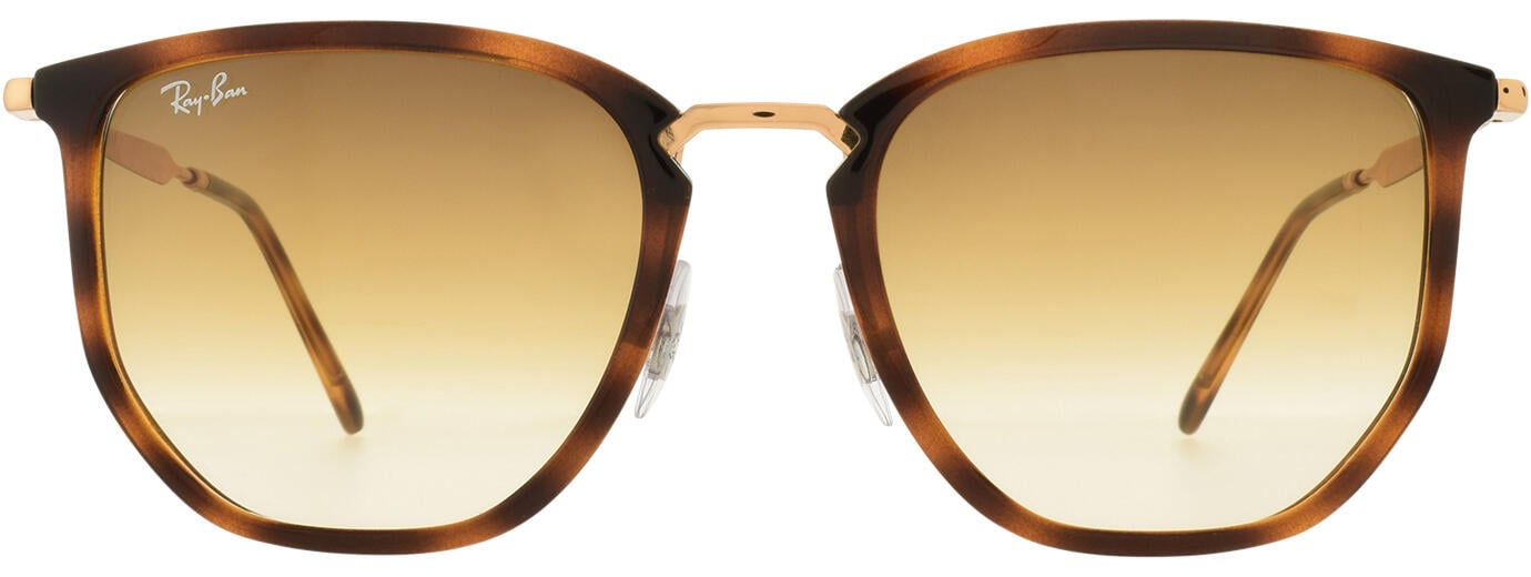 Ray-Ban 4451 11