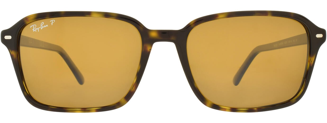 RAY-BAN 0RB2231 41
