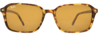 RAY-BAN 0RB2231 21