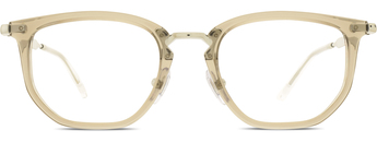 Ray-Ban 0RY9085V