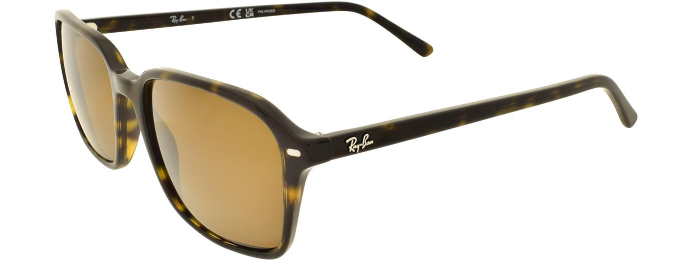 RAY-BAN 0RB2231 31