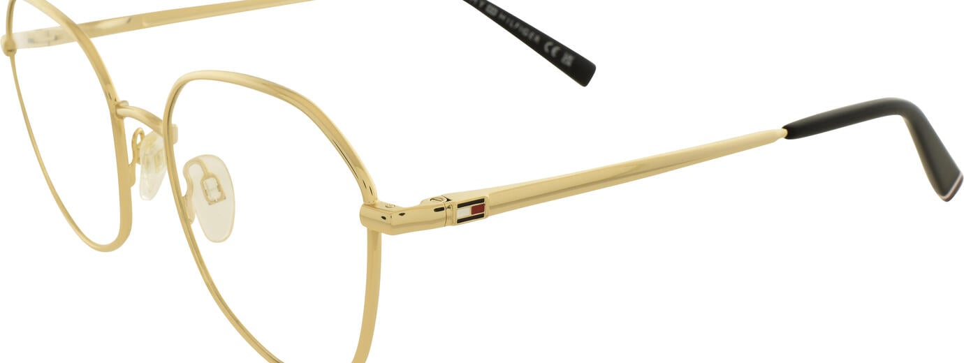 Tommy Hilfiger 2221 01