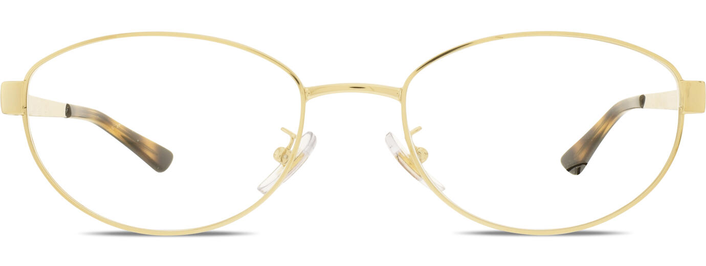 Ray-Ban 0RX3774VD 11