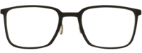 Rodenstock R7173 21