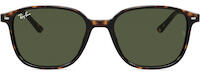 Ray-Ban Leonard 2193 11