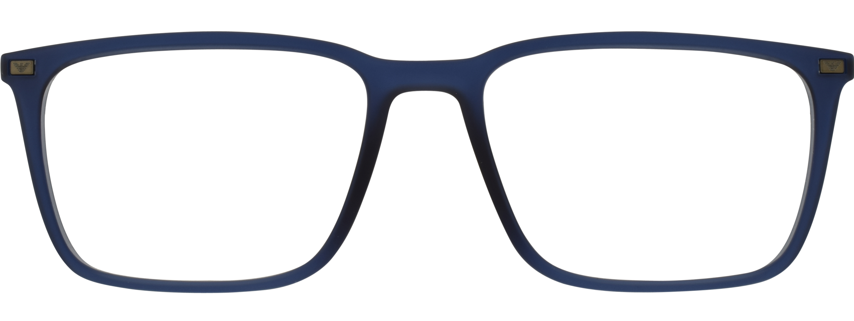 Emporio Armani 3169 21