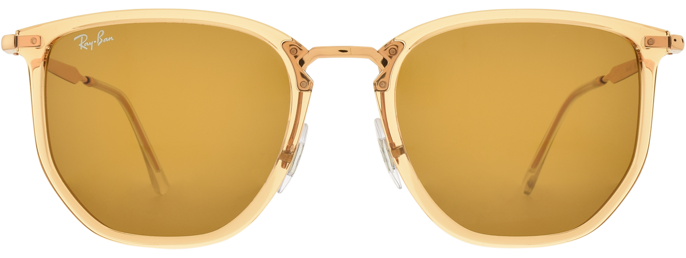 Ray-Ban 4451 21
